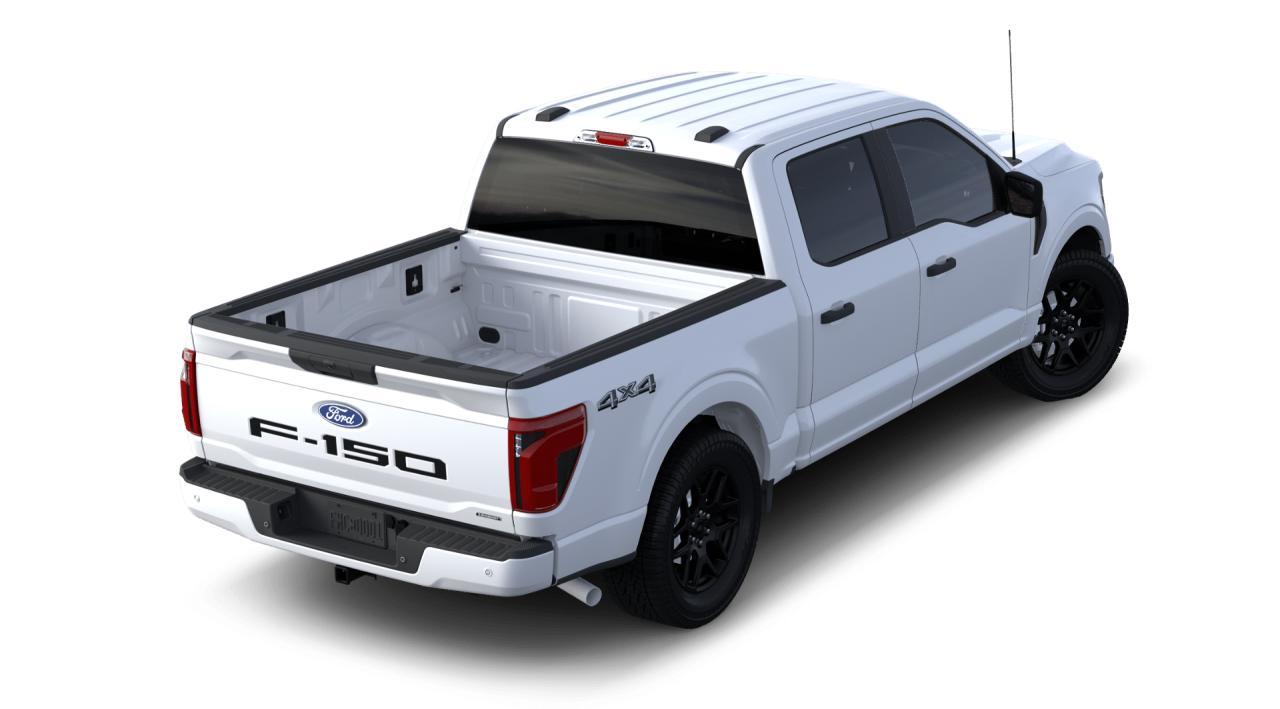 2024 Ford F-150 STX® Photo5