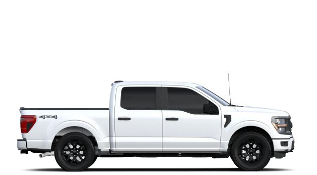 2024 Ford F-150 STX® Photo4