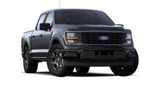 2024 Ford F-150 STX® Photo