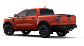 2024 Ford Ranger XLT Photo