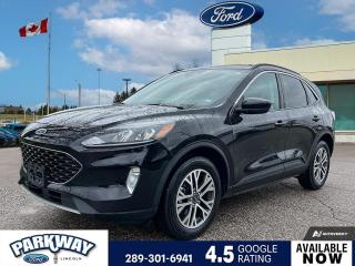 Agate Black Metallic 2021 Ford Escape SEL 301A 301A 4D Sport Utility 1.5L EcoBoost 8-Speed Automatic AWD AWD, 3.81 Axle Ratio, Air Conditioning, Alloy wheels, AM/FM radio: SiriusXM, Auto High-beam Headlights, Compass, Delay-off headlights, Driver door bin, Driver vanity mirror, Equipment Group 301A, Evasive Steering Assist, Ford Co-Pilot360 Assist+, Front Bucket Seats, Front dual zone A/C, Front fog lights, Fully automatic headlights, Heated front seats, Intelligent Adaptive Cruise Control w/Stop & Go, Passenger door bin, Passenger vanity mirror, Power driver seat, Power steering, Power windows, Rear window defroster, Rear window wiper, Remote keyless entry, Roof rack: rails only, Steering wheel mounted audio controls, Telescoping steering wheel, Tilt steering wheel, Variably intermittent wipers, Voice-Activated Touchscreen Navigation System.