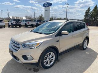 2017 Ford Escape SE Photo