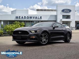 Used 2016 Ford Mustang EcoBoost for sale in Mississauga, ON