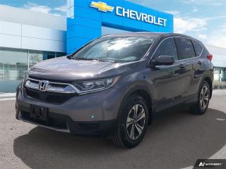 Used 2019 Honda CR-V LX Local Vehicle | Low KM for sale in Winnipeg, MB