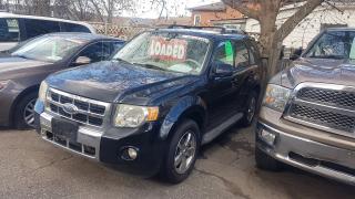 Used 2009 Ford Escape Limited 4X4 for sale in Oshawa, ON