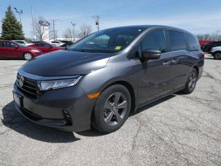Backup Camera, Moonroof / Sunroof, Third Row Seating, Apple CarPlay / Android Auto, Heated Seats, Non Smoker, DVD, Power Doors.

Lunar Silver Metallic 2022 Honda Odyssey EX | Remote Start | Heated Seats | DVD



Clean CARFAX.

Save time, money, and frustration with our transparent, no hassle pricing. Using the latest technology, we shop the competition for you and price our pre-owned vehicles to give you the best value, upfront, every time and back it up with a free market value report so you know you are getting the best deal!

Every Pre-Owned vehicle at Ken Knapp Ford goes through a high quality, rigorous cosmetic and mechanical safety inspection. We ensure and promise you will not be disappointed in the quality and condition of our inventory. A free CarFax Vehicle History report is available on every vehicle in our inventory.



Ken Knapp Ford proudly sits in the small town of Essex, Ontario. We are family owned and operated since its beginning in November of 1983. Ken Knapp Ford has used this time to grow and ensure a convenient car buying experience that solely relies on customer satisfaction; this is how we have won 23 Presidents Awards for exceptional customer satisfaction!

If you are seeking the ultimate buying experience for your next vehicle and want the best coffee, a truly relaxed atmosphere, to deal with a 4.7 out of 5 star Google review dealership, and a dog park on site to enjoy for your longer visits; we truly have it all here at Ken Knapp Ford.

Where customers dont care how much you know, until they know how much you care.

Awards:

* ALG Canada Residual Value Awards