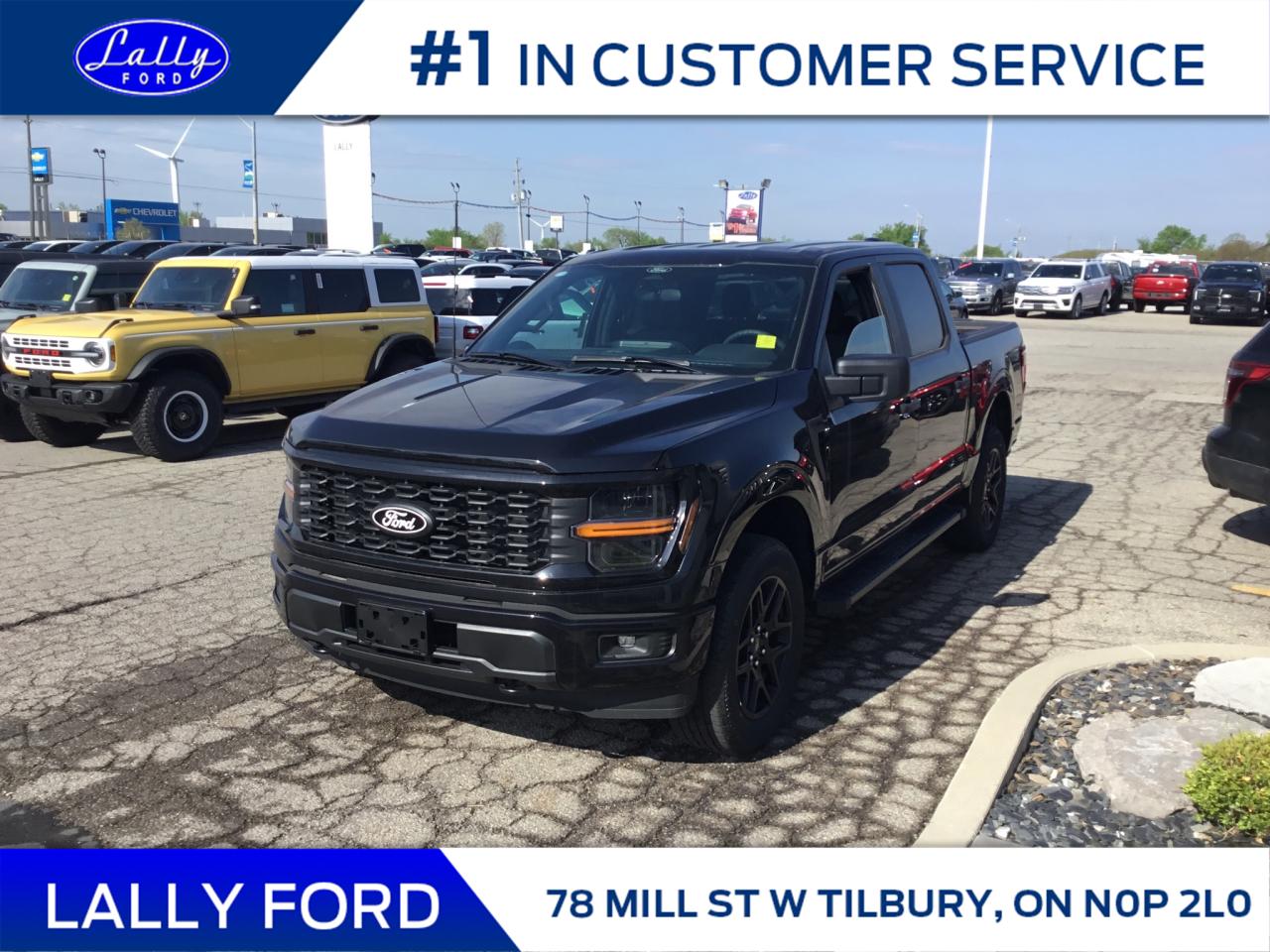 New 2024 Ford F-150 STX for sale in Tilbury, ON