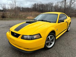 Used 2004 Ford Mustang Mach 1 for sale in Brantford, ON