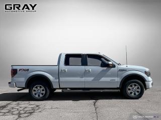2012 Ford F-150 FX4/CERTIFIED/LOADED - Photo #6