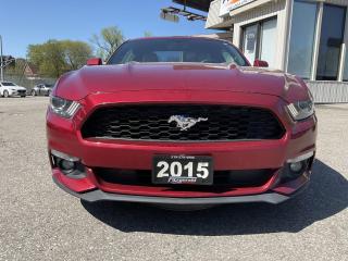 <div><span>Vehicle Highlights:<br></span><span>- Accident free<br></span><span>- Well optioned<br>- Well serviced</span></div><br /><div><br></div><br /><div><span>Here comes a gorgeous Mustang EcoBoost Premium with a 6-speed manual transmission! Beautiful condition in and out and drives very well! Regularly serviced since new, must be seen to be appreciated, dont miss this one!</span><br><br></div><br /><div><span>Fully equipped with the powerful 2.3L - 4 cylinder turbo engine producing 310hp/320lb-ft of torque, 6-speed manual transmission, navigation system, back-up camera, blind spot monitoring, large touch screen, Shaker audio system, upgraded two tone leather interior, heated & cooled seats, digital climate control, cruise control, steering wheel audio controls, AM/FM/AUX/USB, Bluetooth, smart-key, push start, alarm, and much more!</span><br><br></div><br /><div><span>Certified!</span><br><span>Carfax Available!</span><br><span>Extended Warranty Available!</span><br><span>Financing available for as low as 8.99% O.A.C!</span><br><span>ONLY $22,999 PLUS HST & LIC</span></div><br /><div><br></div><br /><div><span>Please call us at 519-579-4995 for any questions you have or drop by FITZGERALD MOTORS located at 380 Courtland Ave East. Kitchener, ON for a test drive! Visit us online at </span><a href=http://www.fitzgeraldmotors.com/ target=_blank><span>www.fitzgeraldmotors.com</span></a><a href=http://www.fitzgeraldmotors.com/></a></div><br /><div><br><span>* Even though we take reasonable precautions to ensure that the information provided is accurate and up to date, we are not responsible for any errors or omissions. Please verify all information directly with Fitzgerald Motors to ensure its exactitude.</span></div>