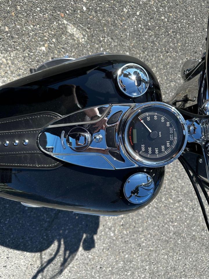 2015 Harley-Davidson Heritage Softail Classic  Photo