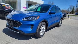 Used 2020 Ford Escape SE for sale in Morrisburg, ON