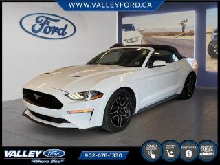 Used 2019 Ford Mustang EcoBoost ULTRA LOW KMS! for sale in Kentville, NS