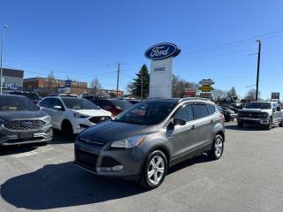 Used 2014 Ford Escape SE for sale in Sturgeon Falls, ON
