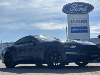 Used 2019 Ford Mustang EcoBoost for sale in Midland, ON