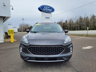 2020 Ford Escape SEL SEL AWD W/MEMORY DRIVERS SEAT Photo