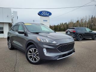 Used 2020 Ford Escape SEL SEL AWD W/MEMORY DRIVERS SEAT for sale in Port Hawkesbury, NS
