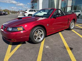 Used 2004 Ford Mustang GT for sale in Simcoe, ON