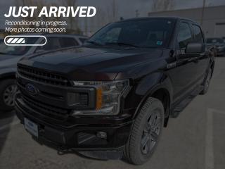 Used 2019 Ford F-150 XLT $262 BI-WEEKLY - NO REPORTED ACCIDENTS, SMOKE-FREE, ONE OWNER, LOCAL TRADE for sale in Cranbrook, BC