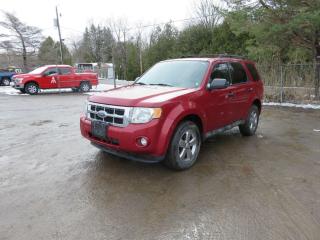 Used 2009 Ford Escape XLT V6 for sale in Peterborough, ON