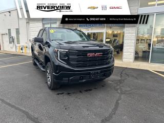 New 2024 GMC Sierra 1500 Pro INCLUDES TONNEAU COVER, WHEELHOUSE LINERS AND ASSIST STEPS for sale in Wallaceburg, ON