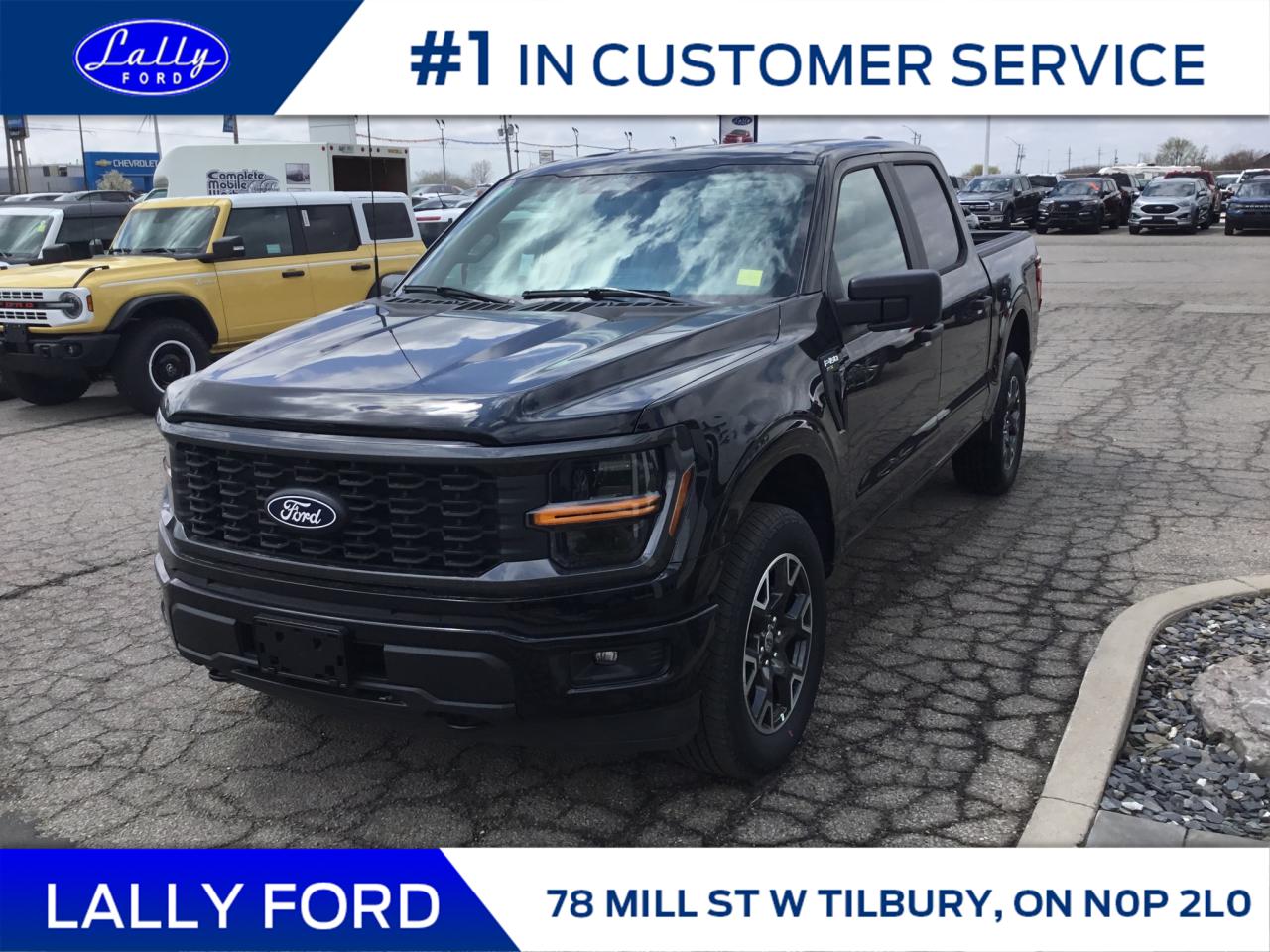 New 2024 Ford F-150 STX for sale in Tilbury, ON