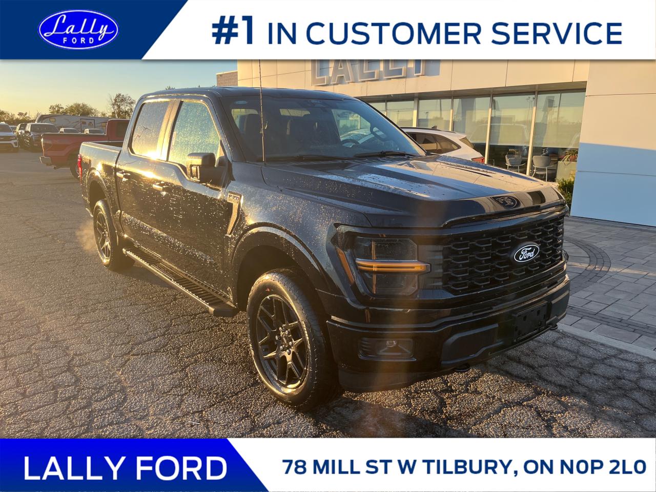 New 2024 Ford F-150 STX for sale in Tilbury, ON