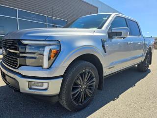 New 2024 Ford F-150 PLATINUM for sale in Pincher Creek, AB