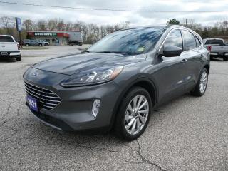Used 2021 Ford Escape Titanium Hybrid for sale in Essex, ON