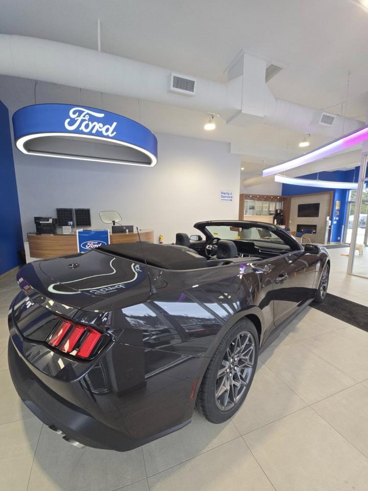 2024 Ford Mustang GT Premium Photo