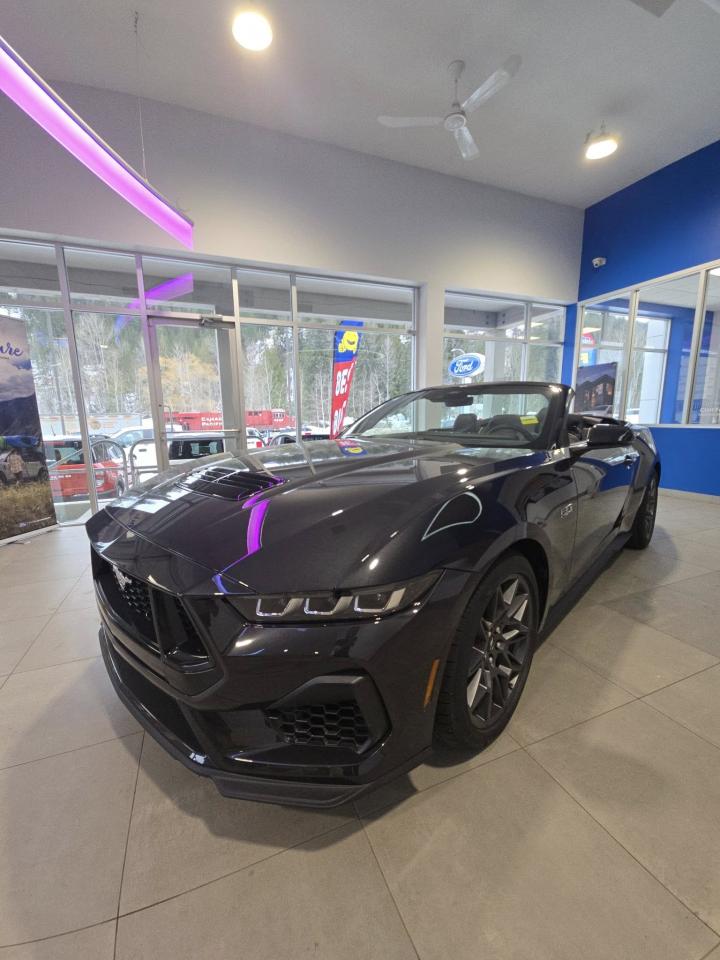 2024 Ford Mustang GT Premium Photo0