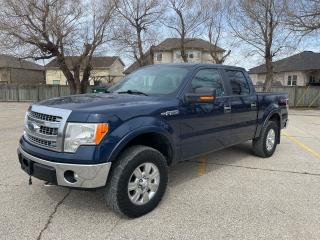 Used 2013 Ford F-150 XLT for sale in Winnipeg, MB