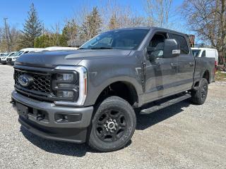 New 2024 Ford F-250 Super Duty XLT  - Tailgate Step for sale in Caledonia, ON