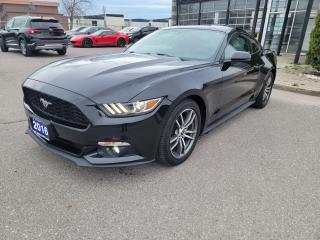 <p>WOW! WHAT A BEAUTIFUL 2016 MUSTANG!!! REAL HEAD TURNER!! DRIVES FANTASTIC!! CLEAN, ONE OWNER TRADE-IN!! WELL CARED FOR! LEATHER SEATS, BLUE TOOTH, REVERSE CAMERA, SELECT DRIVE & MORE!! CLEAN CARFAX!! CALL TODAY!!</p><p> </p><p>THE FULL CERTIFICATION COST OF THIS VEICHLE IS AN <strong>ADDITIONAL $690+HST</strong>. THE VEHICLE WILL COME WITH A FULL VAILD SAFETY AND 36 DAY SAFETY ITEM WARRANTY. THE OIL WILL BE CHANGED, ALL FLUIDS TOPPED UP AND FRESHLY DETAILED. WE AT TWIN OAKS AUTO STRIVE TO PROVIDE YOU A HASSLE FREE CAR BUYING EXPERIENCE! WELL HAVE YOU DOWN THE ROAD QUICKLY!!! </p><p><strong>Financing Options Available!</strong></p><p><strong>TO CALL US 905-339-3330 </strong></p><p>We are located @ 2470 ROYAL WINDSOR DRIVE (BETWEEN FORD DR AND WINSTON CHURCHILL) OAKVILLE, ONTARIO L6J 7Y2</p><p>PLEASE SEE OUR MAIN WEBSITE FOR MORE PICTURES AND CARFAX REPORTS</p><p><span style=font-size: 18pt;>TwinOaksAuto.Com</span></p>