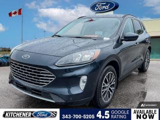 Used 2022 Ford Escape PHEV Titanium TOW PACKAGE | HEADS UP DISPLAY | LEATHER HEATED SEATS for sale in Kitchener, ON
