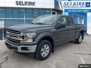 <b>Apple CarPlay,  Android Auto,  Aluminum Wheels,  Ford Co-Pilot360,  Dynamic Hitch Assist!</b><br> <br>    The Ford F-150 is for those who think a day off is just an opportunity to get more done. This  2019 Ford F-150 is for sale today in Selkirk. <br> <br>The perfect truck for work or play, this versatile Ford F-150 gives you the power you need, the features you want, and the style you crave! With high-strength, military-grade aluminum construction, this F-150 cuts the weight without sacrificing toughness. The interior design is first class, with simple to read text, easy to push buttons and plenty of outward visibility.This  Super Cab 4X4 pickup  has 113,538 kms. Its  nice in colour  . It has an automatic transmission and is powered by a  290HP 3.3L V6 Cylinder Engine.  <br> <br> Our F-150s trim level is XLT. Upgrading to the class leader, this Ford F-150 XLT comes very well equipped with remote keyless entry, dynamic hitch assist, Ford Co-Pilot360 that features pre-collision assist and automatic emergency braking. Enhanced features include aluminum wheels, chrome exterior accents, SYNC 3 with enhanced voice recognition, Apple CarPlay and Android Auto, FordPass Connect 4G LTE, steering wheel mounted cruise control, a powerful audio system with SiriusXM radio, cargo box lights, power door locks and a rear view camera to help when backing out of a tight spot. This vehicle has been upgraded with the following features: Apple Carplay,  Android Auto,  Aluminum Wheels,  Ford Co-pilot360,  Dynamic Hitch Assist,  Remote Keyless Entry,  Cargo Box Lighting. <br> To view the original window sticker for this vehicle view this <a href=http://www.windowsticker.forddirect.com/windowsticker.pdf?vin=1FTEX1EB8KKC63569 target=_blank>http://www.windowsticker.forddirect.com/windowsticker.pdf?vin=1FTEX1EB8KKC63569</a>. <br/><br> <br>To apply right now for financing use this link : <a href=https://www.selkirkchevrolet.com/pre-qualify-for-financing/ target=_blank>https://www.selkirkchevrolet.com/pre-qualify-for-financing/</a><br><br> <br/><br>Selkirk Chevrolet Buick GMC Ltd carries an impressive selection of new and pre-owned cars, crossovers and SUVs. No matter what vehicle you might have in mind, weve got the perfect fit for you. If youre looking to lease your next vehicle or finance it, we have competitive specials for you. We also have an extensive collection of quality pre-owned and certified vehicles at affordable prices. Winnipeg GMC, Chevrolet and Buick shoppers can visit us in Selkirk for all their automotive needs today! We are located at 1010 MANITOBA AVE SELKIRK, MB R1A 3T7 or via phone at 204-482-1010.<br> Come by and check out our fleet of 80+ used cars and trucks and 170+ new cars and trucks for sale in Selkirk.  o~o