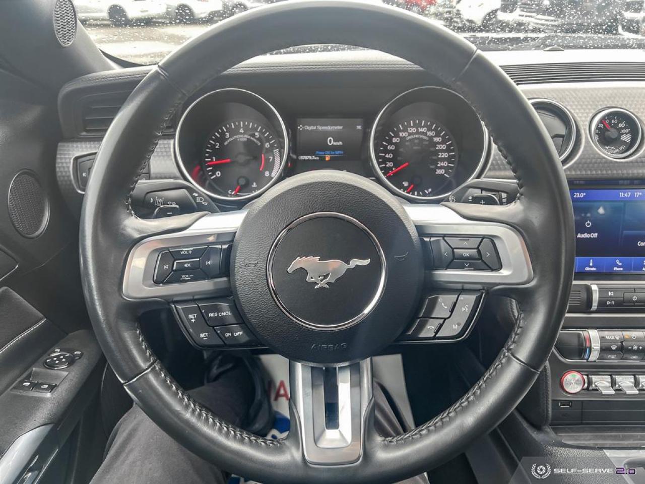 2021 Ford Mustang GT / PERFORMANCE / NAV / NO ACCIDENTS - Photo #17