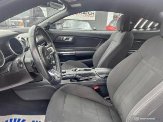 2021 Ford Mustang GT / PERFORMANCE / NAV / NO ACCIDENTS - Photo #10