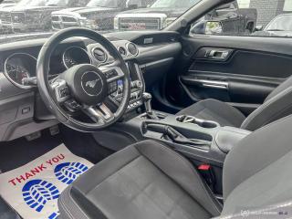 2021 Ford Mustang GT / PERFORMANCE / NAV / NO ACCIDENTS - Photo #9