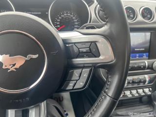 2021 Ford Mustang GT / PERFORMANCE / NAV / NO ACCIDENTS - Photo #19