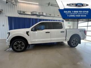 New 2024 Ford F-150 STX for sale in Carlyle, SK