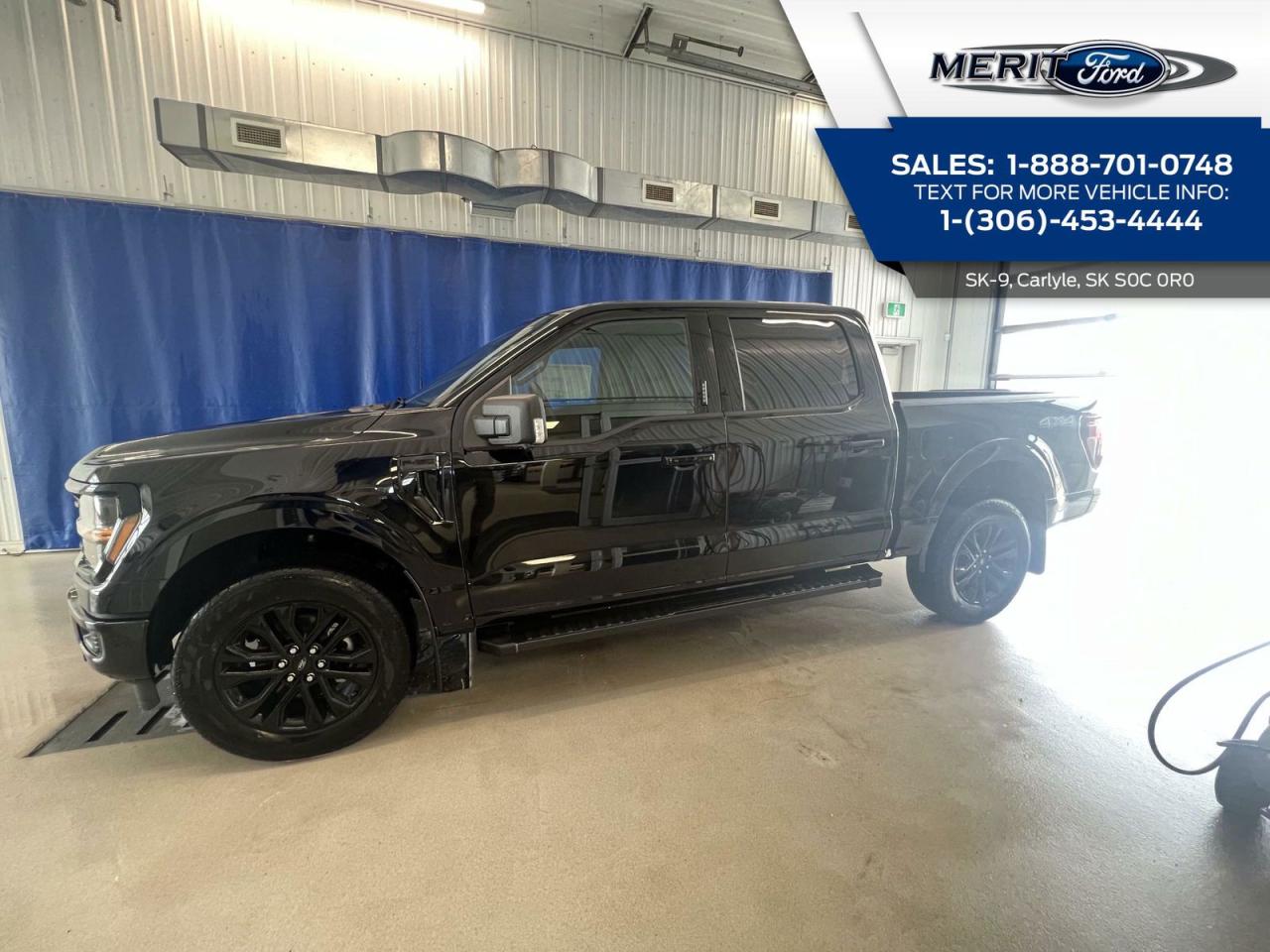 New 2024 Ford F-150 XLT - 4x4, V8, Blue Cruise + MORE for sale in Carlyle, SK