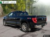 2021 Ford F-150 XLT SuperCab 6.5-ft. Bed 4X4 5.0L Photo29