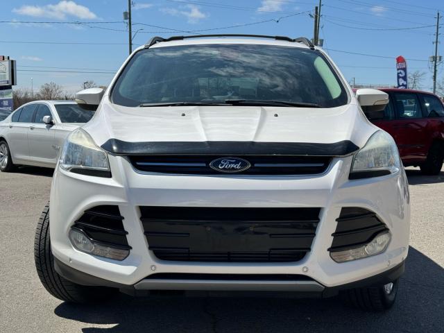 2013 Ford Escape SEL 4WD / CLEAN CARFAX / LEATHER / NAV / HTD SEATS Photo2