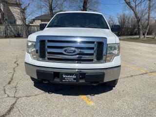 Used 2010 Ford F-150 XLT for sale in Winnipeg, MB