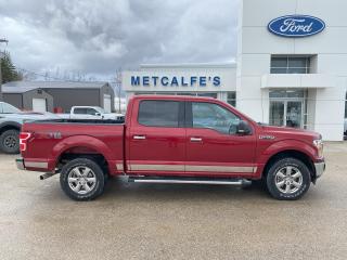 Used 2019 Ford F-150 XLT for sale in Treherne, MB