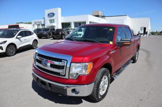 Used 2014 Ford F-150 XLT for sale in Kingston, ON