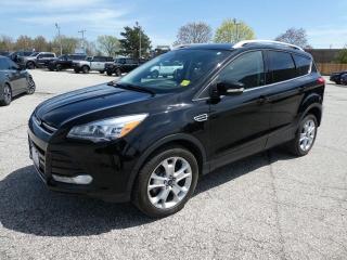 Used 2016 Ford Escape Titanium for sale in Essex, ON