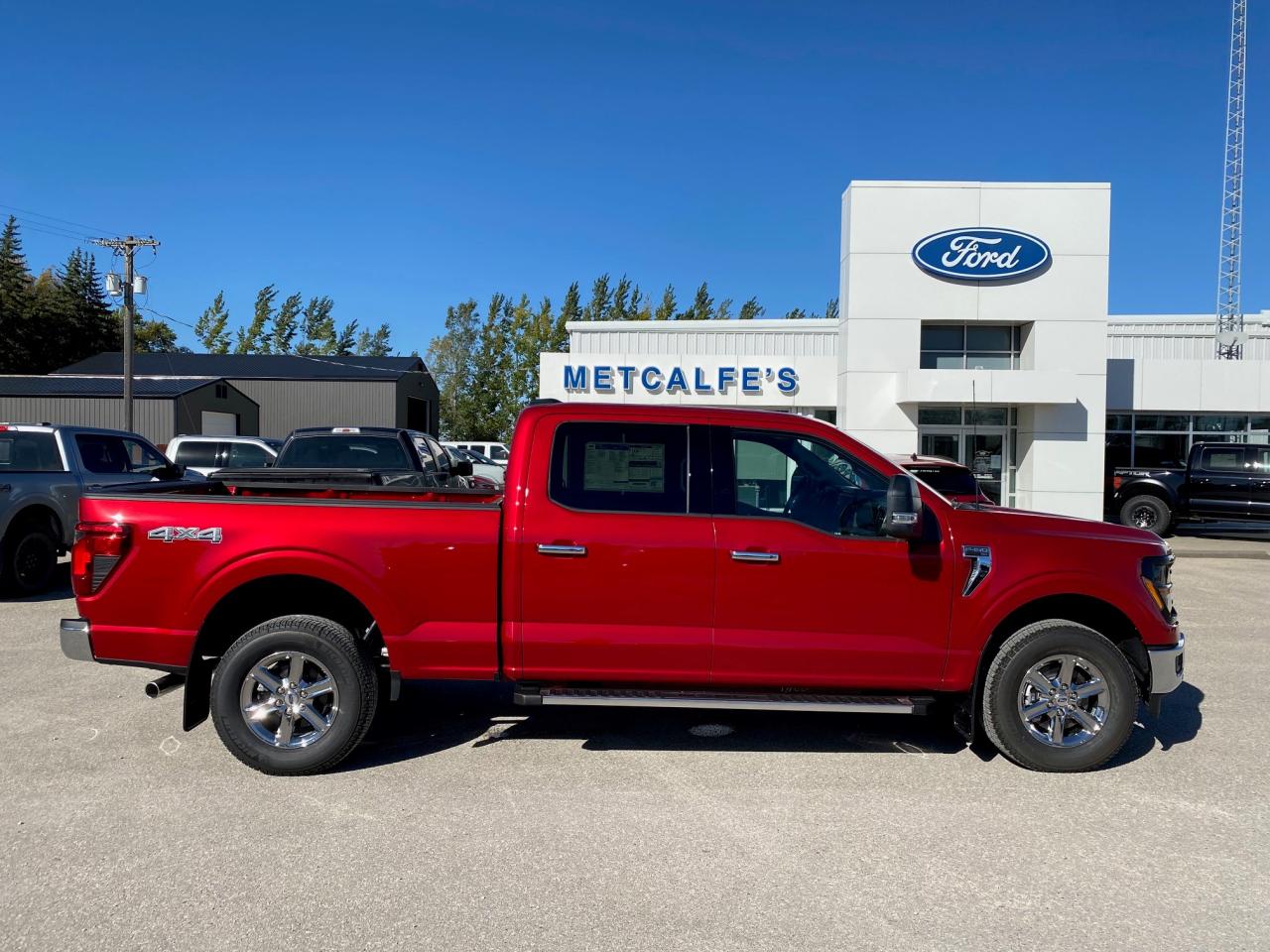 New 2024 Ford F-150 XLT 4WD SUPERCREW 6.5' BOX for sale in Treherne, MB