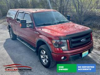 Used 2014 Ford F-150 FX4 4WD for sale in Perth, ON